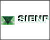 SIENF - SISTEMA DE ENSINO DE ENFERMAGEM logo