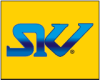 SKV COMERCIO E SERVICOS logo