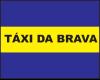 TAXI DA BRAVA (CENTRO E FAZENDA) logo
