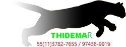 THIDEMAR SERVICOS DE CONSTRUCAO CIVIL logo