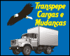 TRANSPEPE CARGAS E MUDANÇAS logo