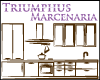 TRIUMPHUS MARCENARIA logo