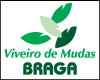 VIVEIRO DE MUDAS BRAGA logo